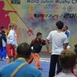 4th world junior wushu 3